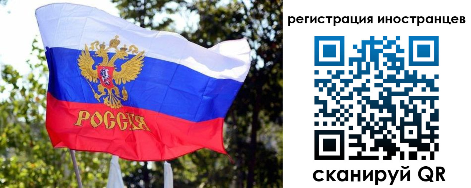 временная регистрация недорого в Светлогорске